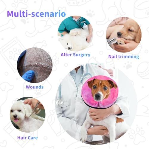 Image of Dog Cone, Y-blue Cone Collar Inflatable Dog Neck Collar Recovery E-Collar Alternative, Cat Donut Collar After Surgery for Dogs and Cats(Rose Purple, M)