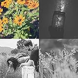 瞬間(ボディラップ)