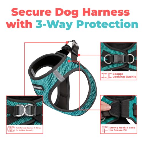 Image of Voyager Step-in Air Dog Vest Harness - Turquoise 2-Tone, Small | 14.5-16 inch in Chest, Reflective Bands, All Weather Breathable Air Mesh, Cats Compatible, Lightweight, Fast Drying