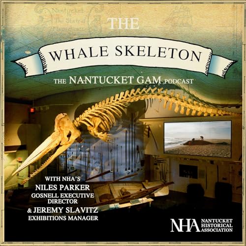The Whale Skeleton - with Niles Parker and Jeremy Slavitz
