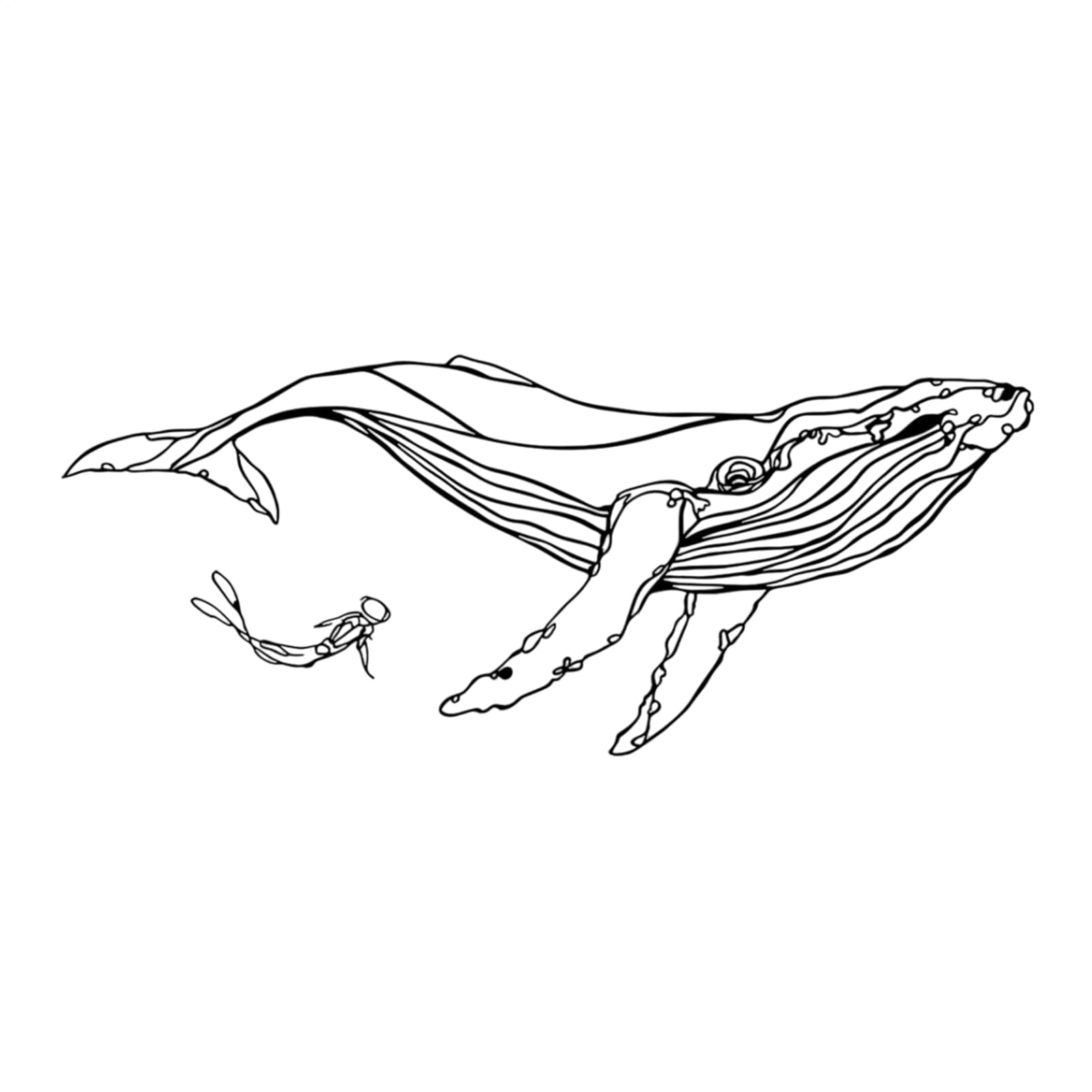 Décoration Murale De Baleine pour créer un havre de paix apaisant dans votre chambre à coucher