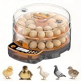 48-Egg Smart Incubator with Automatic Turning & Humidity Control, 3-in-1 Poultry Hatcher with HD Display, Built-in LED Candler & Water Tank for Chickens, Ducks, Quails | Educational Family Tool