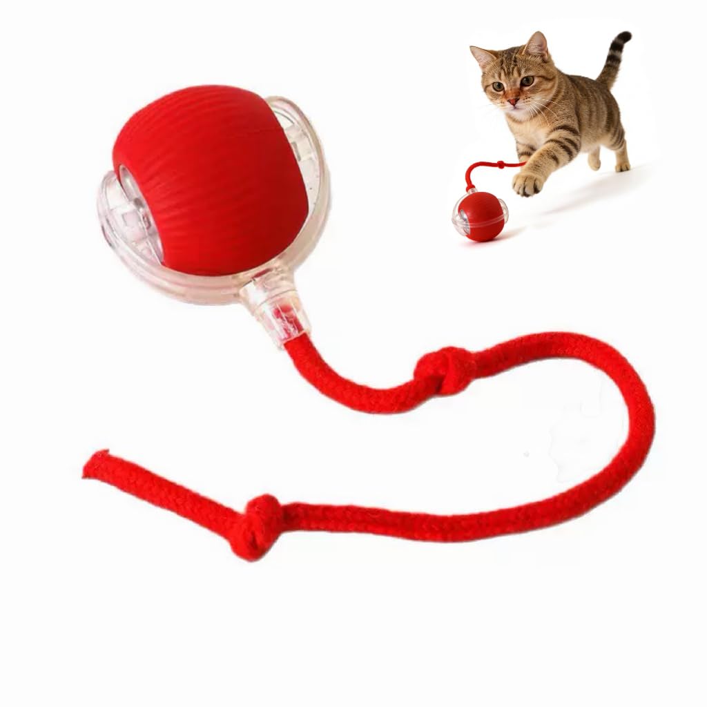 Pnoyws Interactive Cat Toy Ball Smart Automatic Moving Electric Pet for Cats Dogs USB Rechargeable Active Rolling Smart Dog Ball Indoor Fun Boredom Relief Exercise on Carpet Floor