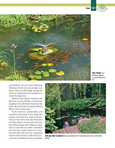 Garden Ponds, Fountains & Waterfalls for Your Home