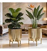 BEHOMA Fluted Metal Indoor Planters with Stands for Table Top and Floor | Living Room Drawing Roo...