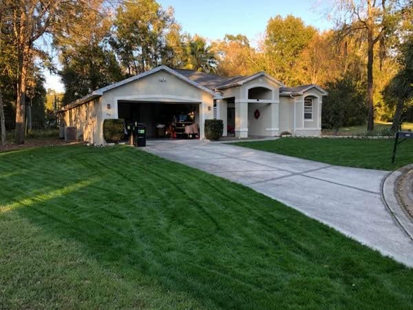 Miniatura 3 de Lesco Double Eagle - Mezcla de semillas de riegrass perenne (25 libras)