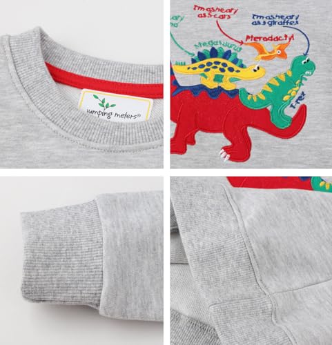 Boys Sweatshirts Casual Sweatshirts Cotton Sweatshirts Long Sleeve T-shirts Crew Neck Cartoon Tops for Boys-783