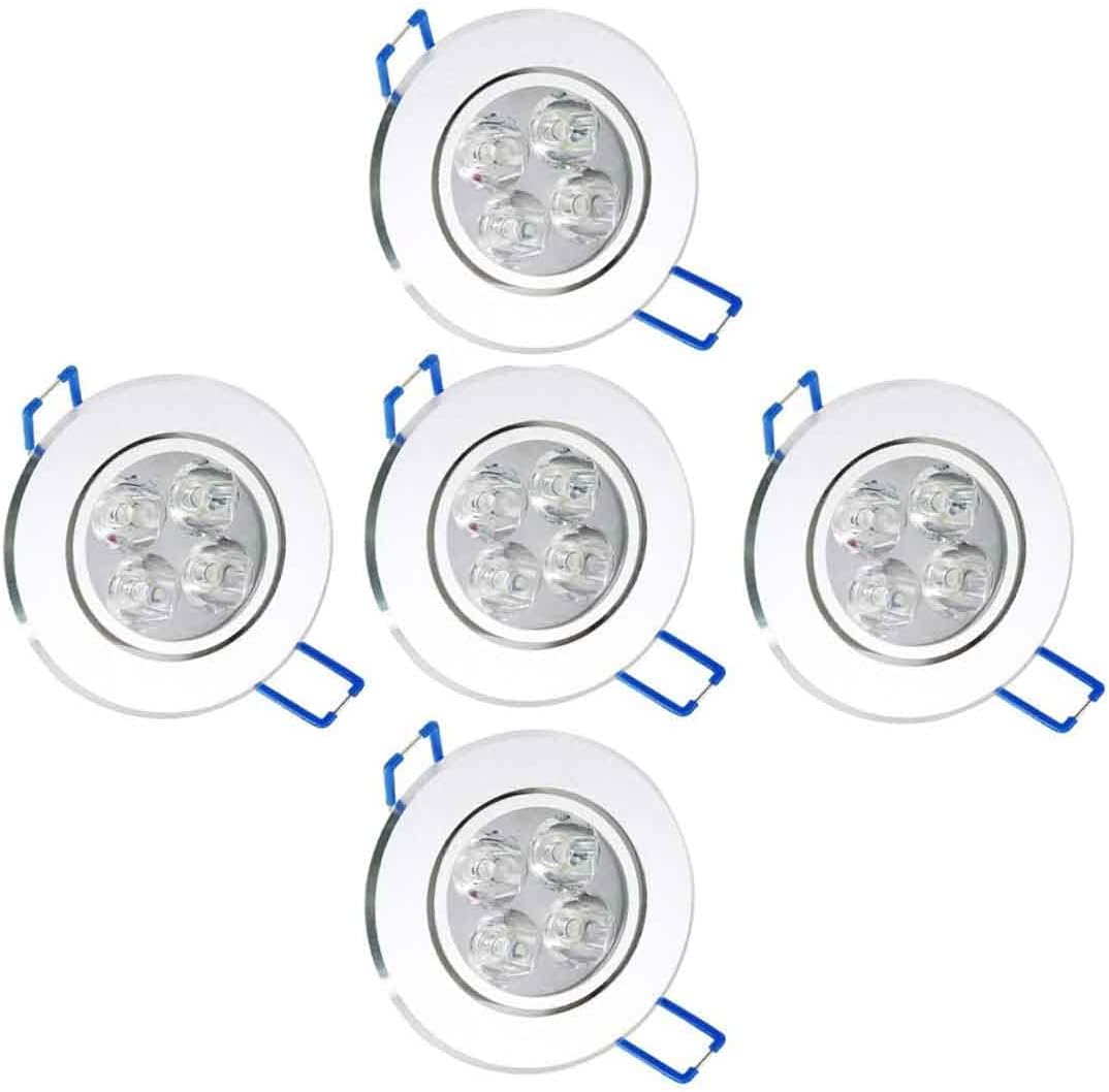 LED Ceiling Light Downlight Spotlight Lamp 110V 4W Recessed Lighting Fixture with LED Driver Pack of 5