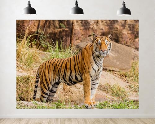 Trykid 5x3ft Majestic Bengal Tiger in Wild Backdrop Stunning Big