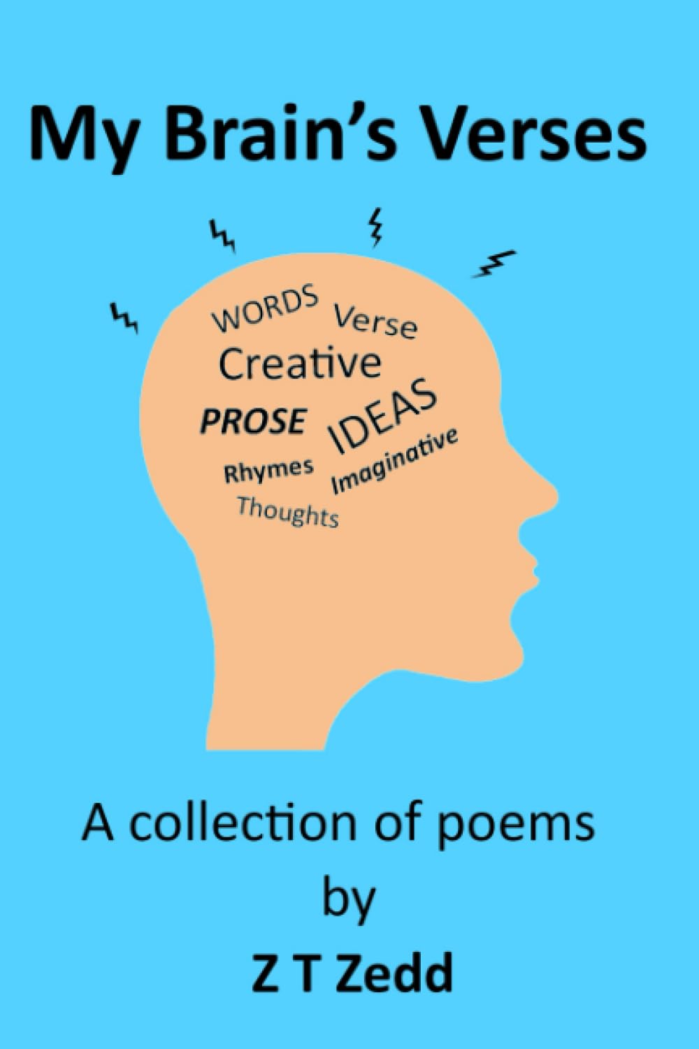 My Brain's Verses: A collection of poems