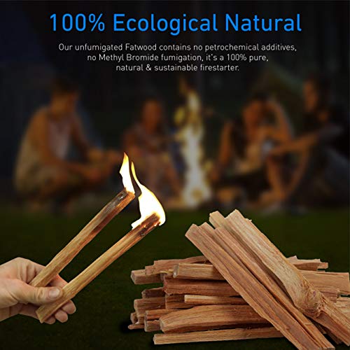 EasyGoProducts Approx. 120 Eco-Stix Fatwood Starter Kindling Firewood Sticks Wood Stoves Camping Firestarter Fire Pit BBQ, 10 Lbs