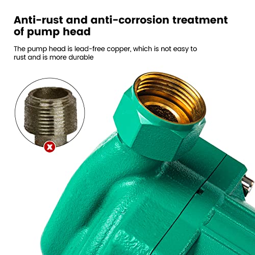 Anbull Instant Hot Water Recirculating Pump System BuiltIn Timer with