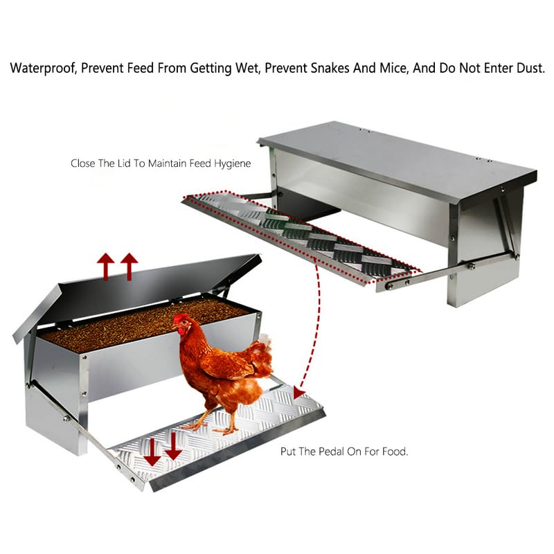 Comedero automático para cría de Pollos Comedero para Aves de Corral para Pollos Patos y Gansos Comedero Artefacto de alimentación a Prueba de Lluvia