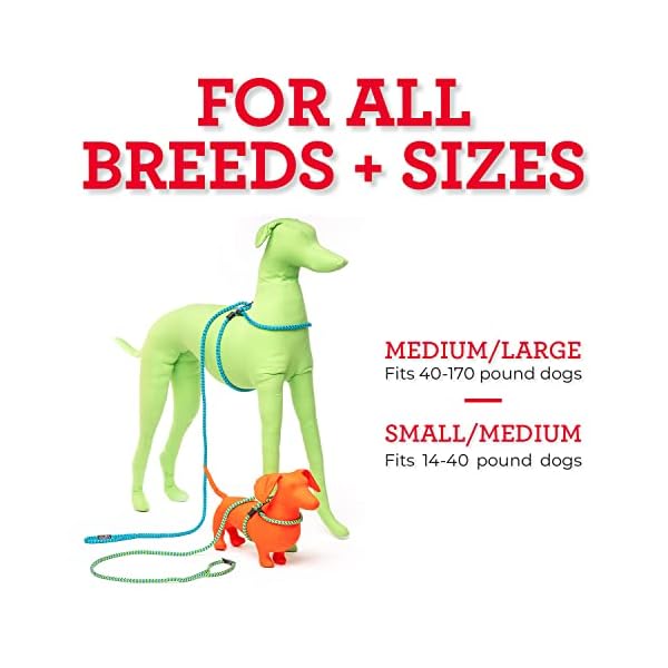 Harness Lead No Pull Dog Harness and Leash Set, Anti Pull Dog Harness for All Breeds and Sizes, One-Piece Cushioned Rope Design Safely Prevents Escaping and Pulling (Small/Medium, Black/Reflective) Harness Lead No Pull Dog Harness and Leash Set, Anti Pull Dog Harness for All Breeds and Sizes, One-Piece Cushioned Rope Design Safely Prevents Escaping and Pulling (Small/Medium, Black/Reflective)