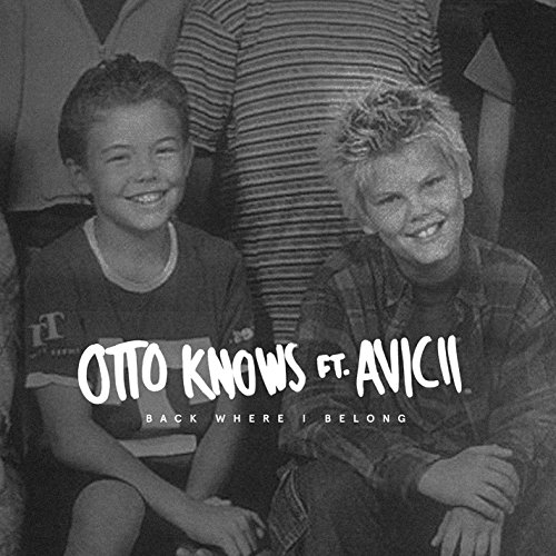 Otto Knows feat. Avicii