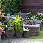 4 Pack 10 Inch Plant Pot for Outdoor Indoor, Plastic Flower Pots with Drainage Hole & Saucer, Lightweight Small Resin Flower Pot, Imitation Magnolia Pots for Garden House Planters（Gray） - Image 4