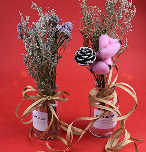 J Jiayu218Yards Christmas Raffia Paper Craft Ribbon Packing Paper Twine For Festival Gifts,Twine Diy Decoration And Weaving Raffia Ribbon (Kraft Paper Color) #TOP3