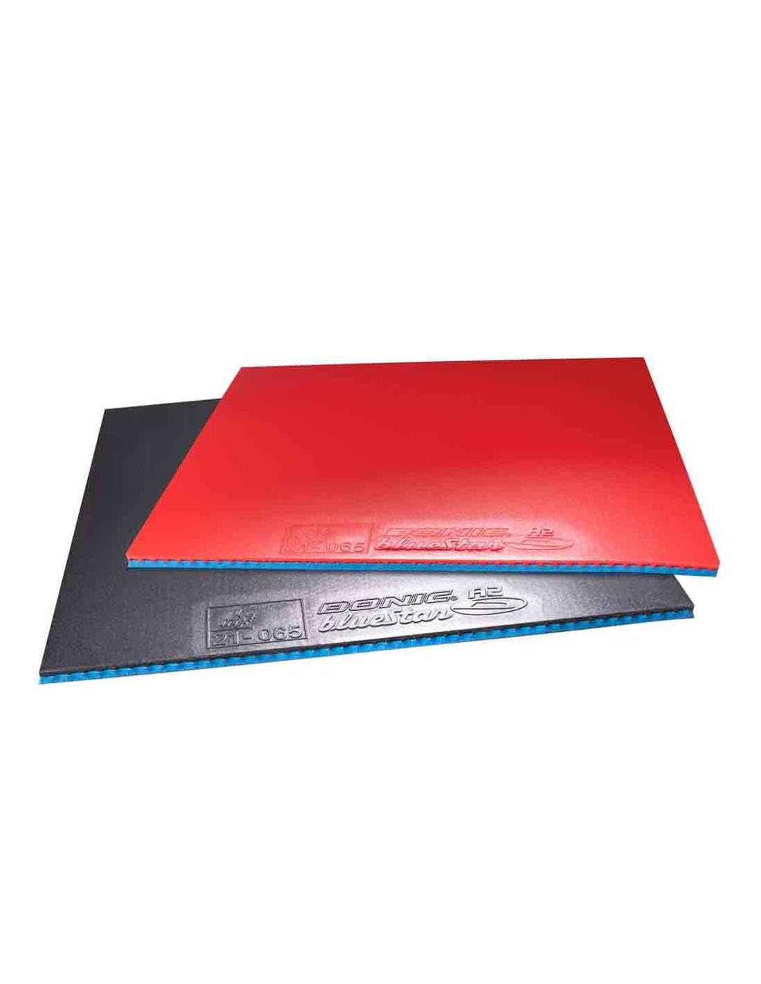 DONIC Bluestar A2 2.0 R