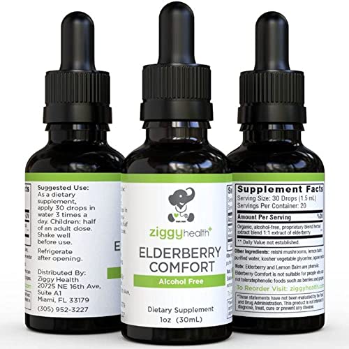 Ziggy Health Elderberry Extract - Organic Liquid Tincture, Immune Support Drops, Antioxidant Respiratory Support & Defense, Herbal Supplement Vitamins Oil, Gluten Free, Alcohol Free, 1Oz #TOP14