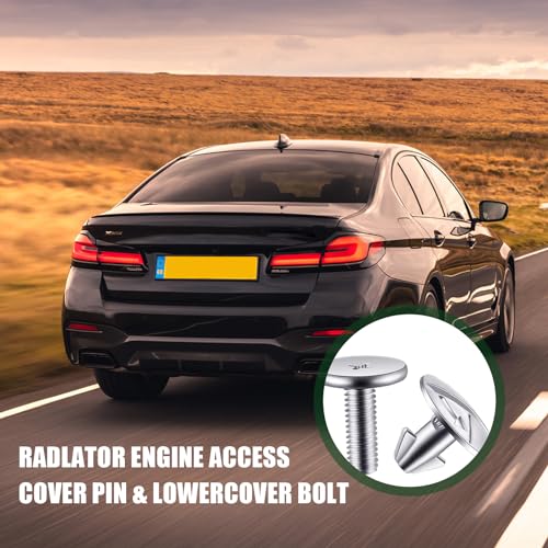 Image of 8 PCS Automotive Engine Cover Pin Screws Set, Lower Engine Radiator Splash Guard Hardware Screw Bolts, 90674-TY2-A01 Fastening Accessories, Compatible with Honda Civic, Accord, CRV (Silver)