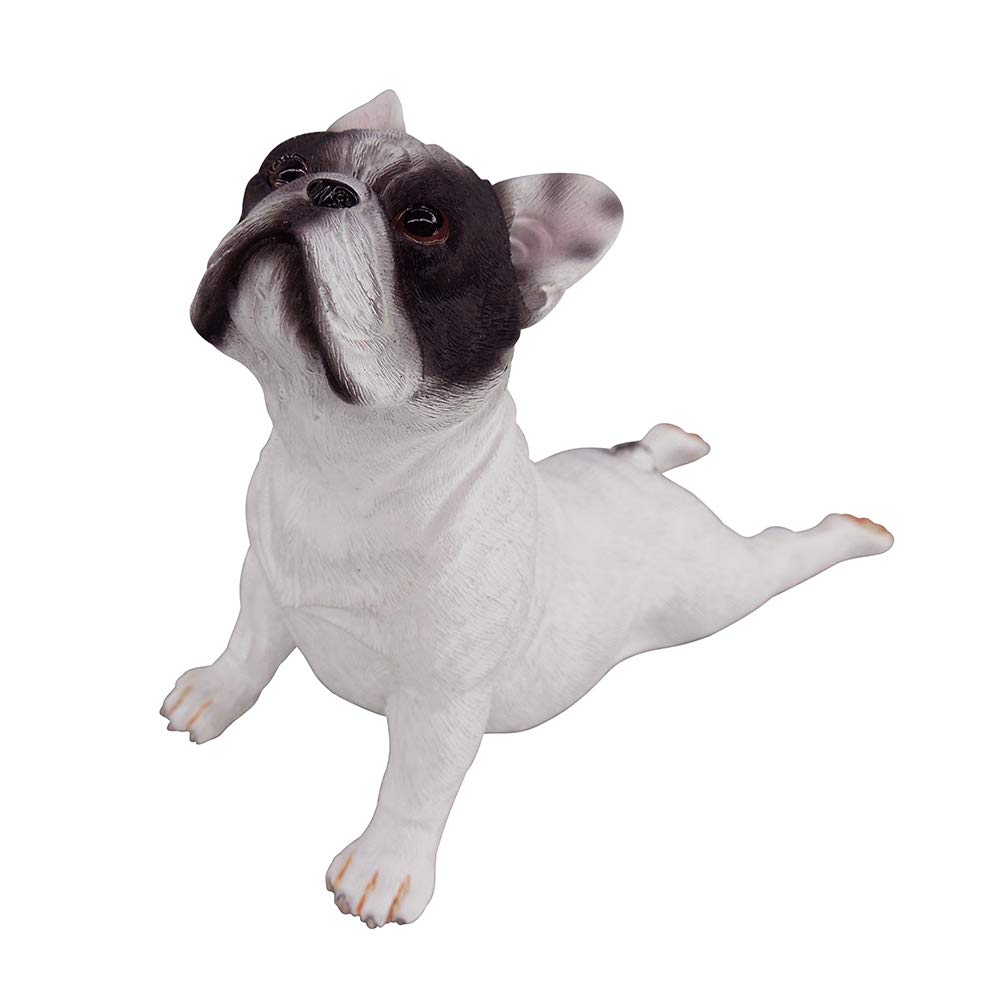 small white french dog