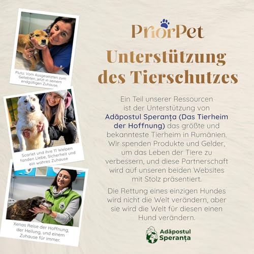 Hunderampe Auto Klappbar- Teleskop Alu Rampe für große Hunde - Stabile Hundetreppe Auto & SUV - rutschfest - Reflektierende Seiten - Hundeleiter Auto - 90kg Belastbarkeit - Befestigungsclip - Grau