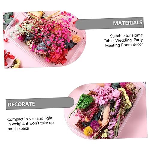 Flores secas artesanales para manualidades DIY miniatura 2