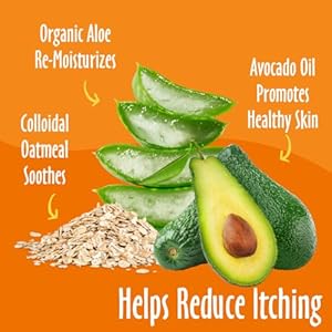 earthbath, Oatmeal & Aloe Grooming Wipes - Dog Wipes for Paws and Butt, Best Pet Wipes for Dogs & Cats, Helps Relieve Itchy & Dry Skin, Made in USA, Cruelty-Free - Vanilla & Almond 100 Count (1 Pack) earthbath Oatmeal Aloe Grooming Wipes Dog Wipes for Paws and Butt Best Pet Wipes for Dogs Cats Helps Relieve Itchy Dry Skin Made in USA Cruelty Free Vanilla Almond 100 Count 1 Pack