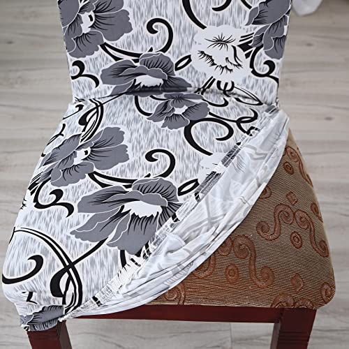 Image of House of Quirk Elastic Chair Cover Stretch Removable Washable Short Dining Chair Cover Protector Seat Slipcover (Pack of 1, White /Grey Flower)