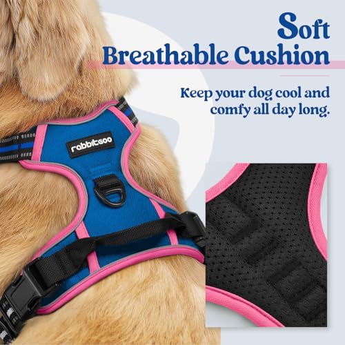 Image of rabbitgoo Dog Harness No Pull with 2 Leash Clips, Adjustable Soft Padded, Reflective Oxford No Choke Pet Vest with Easy Control Handle for Large Dogs, Blue & Hot Pink, M
