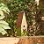 Glitzhome 13.25''H Hanging Birdhouse Retro Green Distressed Solid Wood Bird House for Outdoor