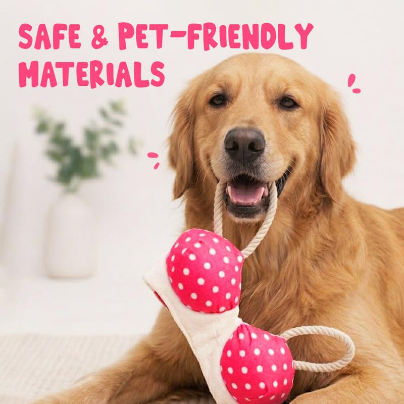 Image of Mutt of Course Braided Rope Dog Toy | Durable Chew & Tug Toy for Dogs | Interactive Cotton Rope Toy for Teeth Cleaning & Play