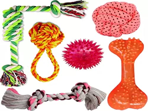 Image of Toys for Puppies & Small Dogs: Spike Squeaky Ball, Rope Ball, Cotton, Rubber, Bone, Chew Toy - Training Aid