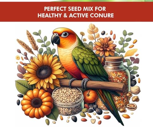 Image of Boltz Best Bird Food for Conures, Natural and Healthy Premium Seed Mix for Conure Parrot, Daily Birds Treat for Conures, Complete Nutrition to All Life Stages (1 KG (Pack of 5))