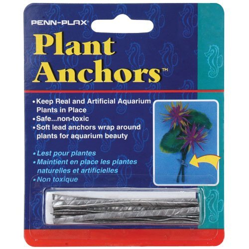 PennPlax® Aquarium Plant Anchors, 12pk Amazon.in Pet Supplies