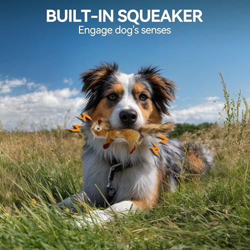 ALL FOR PAWS S accessoire robuste aux finitions soignées - 5