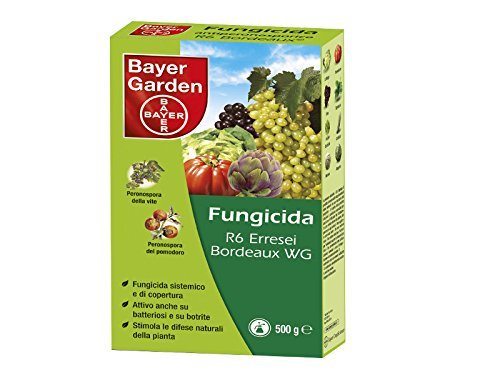 Bayer R6 Bordeaux WG Nr.15047 fungicidi 500g in Formato Busta, Multicolore, Unica