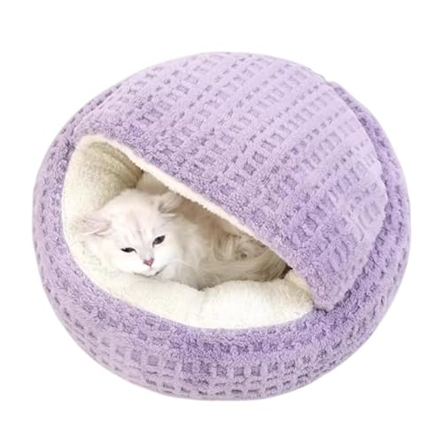 Lxbh ^ Lk^ ybgnEX ~p ۉ h  ӂӂ ѕzf   _e ~ߖh Lp 􂦂 p (F,M?50cm)