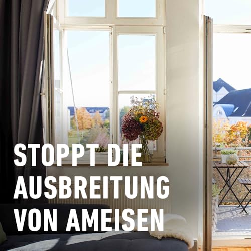 COMPO Ameisen Blocker - stoppt die Ausbreitung von Ameisen - insektizidfreie Streubarriere - 100% natürlich - 250 g