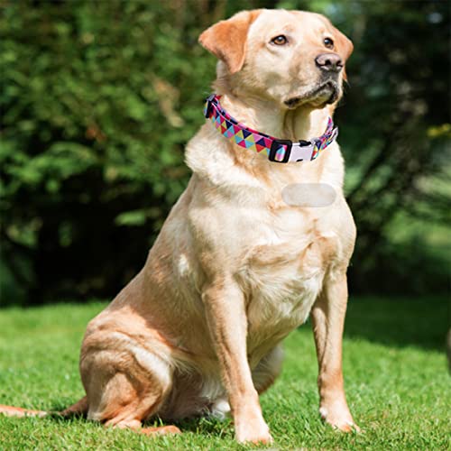 Collar de perro multicolor para paseos diarios con cachorros pequeños y medianos 8