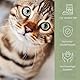 alphazoo Fellliebe Natur-Futteröl 250ml, Fellpflege für Katzen, Omega-3 Omega-6 Fellglanz, Natürlich gegen Juckreiz & Schuppen, mit Lachsöl, Mandelöl & Arganöl, Barf-Öl Mischung, Fischöl