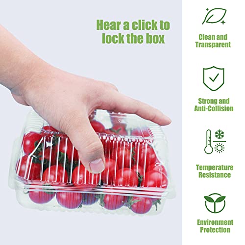 Xanllaxa SAS646 100 Pcs Clear Plastic Square Hinged Food Container,Plastic Take Out Containers,Disposable Clamshell Food Containers thumb #2
