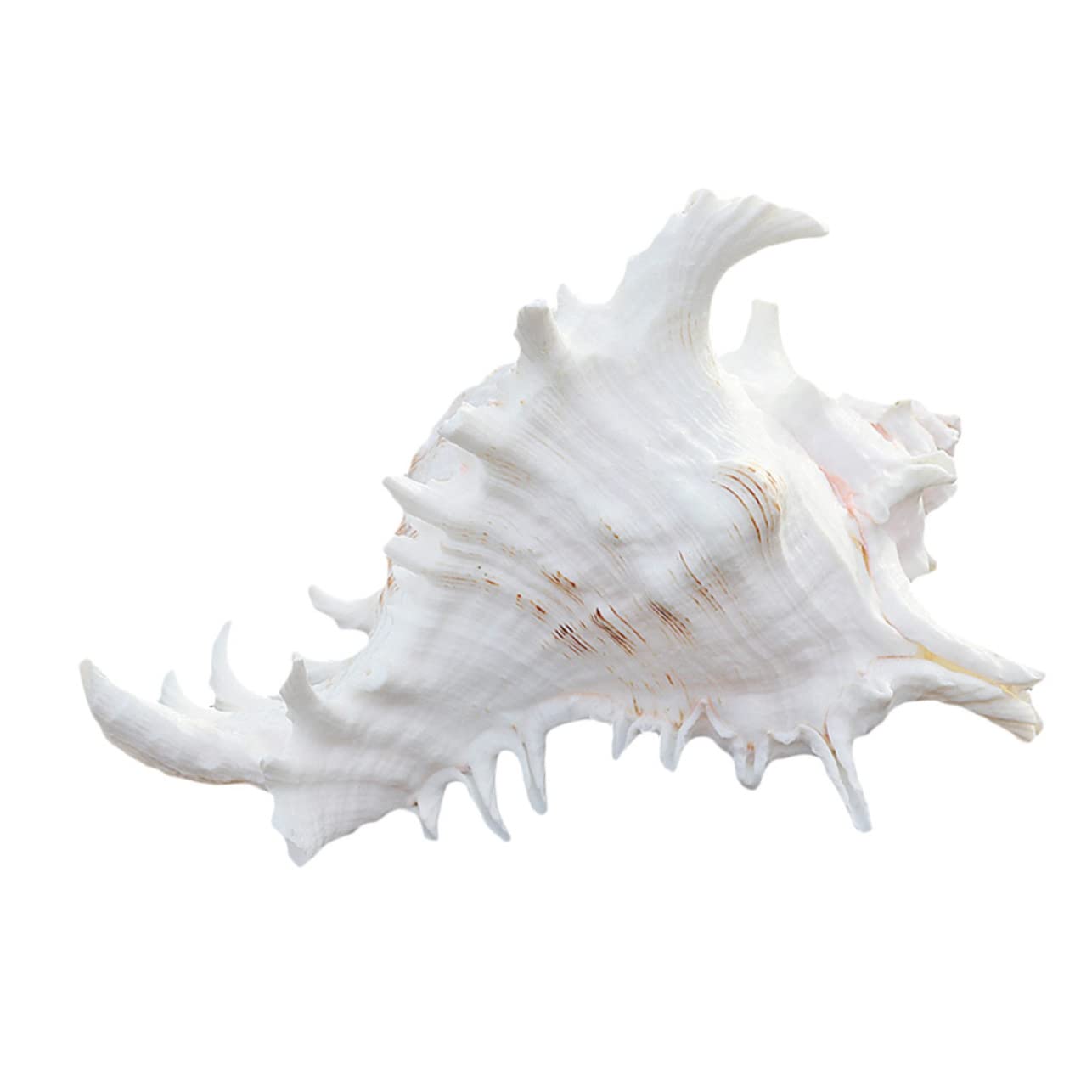 Decorazione per Bianco Decorazione Lifelike per Sicura e Facile