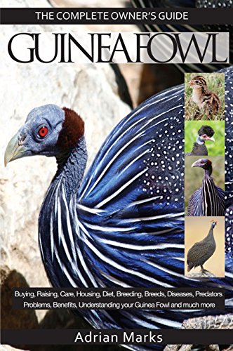 Guineafowl:: Guinea Fowl: The Complete Owners Guide