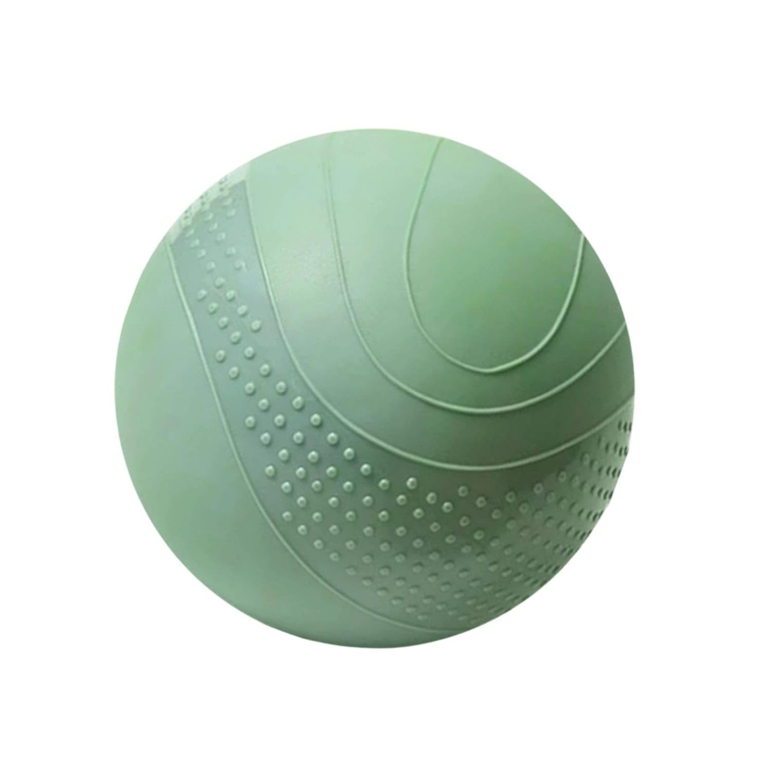 Shock-Absorbing-Resistant Non-Bouncing Workout Ball Quiet Sand-Filled Exercise Ball, 1KG Textured Sand-image-46