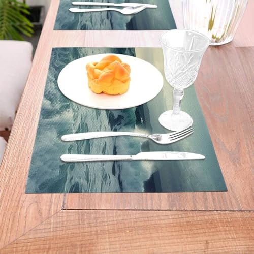 Sets de table durables 30,5 x 45,7 cm lavables pour table de cuisine