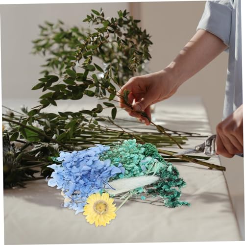 Flores secas naturales para manualidades DIY pack 1 miniatura 6