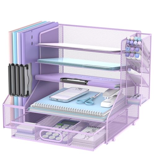 DALTACK Mesh Desk Organizer, 5-Tier Paper Letter Tray with File