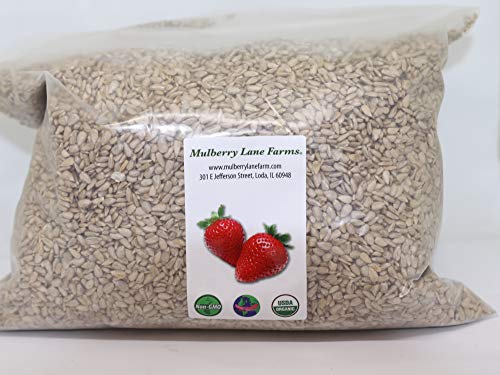 Sunflower Seeds, 5 Pounds Raw, Hulled, Unsalted, No Salt, USDA Certified Organic, Non-GMO Bulk, Product of USA, Mulberry Lane Farms