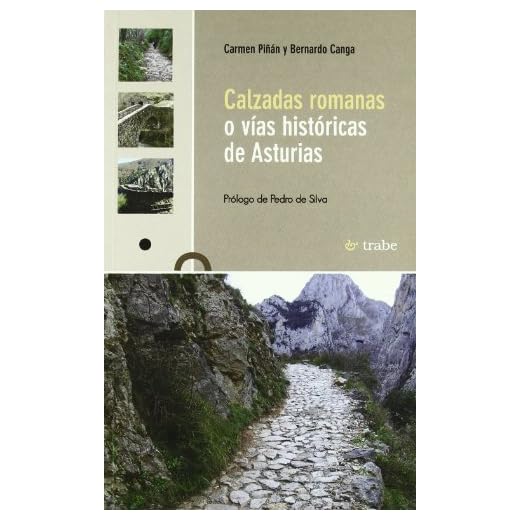 CALZADAS ROMANAS O VIAS HISTORICAS DE ASTURIAS (SIN COLECCION)